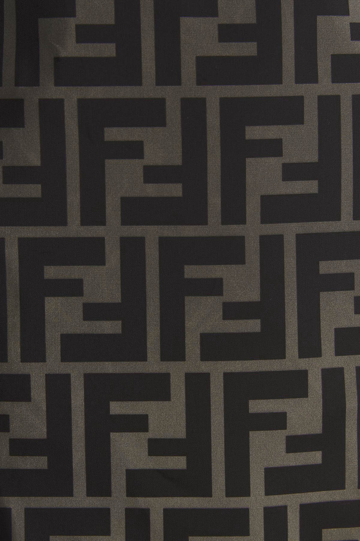 Fendi Swim Shorts - Image 4